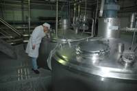 Fabrication du fromage - Contrôle visuel des cuves de fermentation 